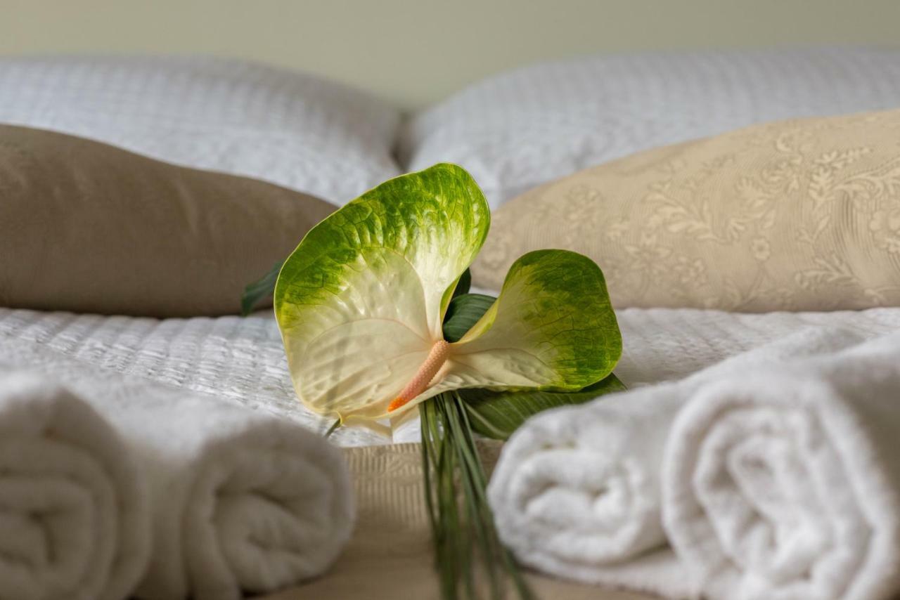 Apartments & Rooms Aleksandra เบลด ภายนอก รูปภาพ